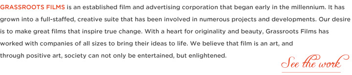 About the Company