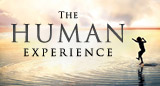 The Human Experience