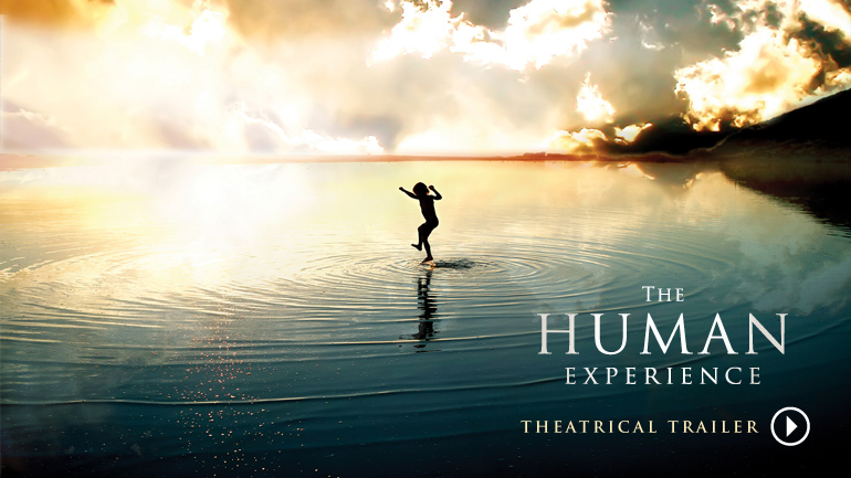 The Human Experience